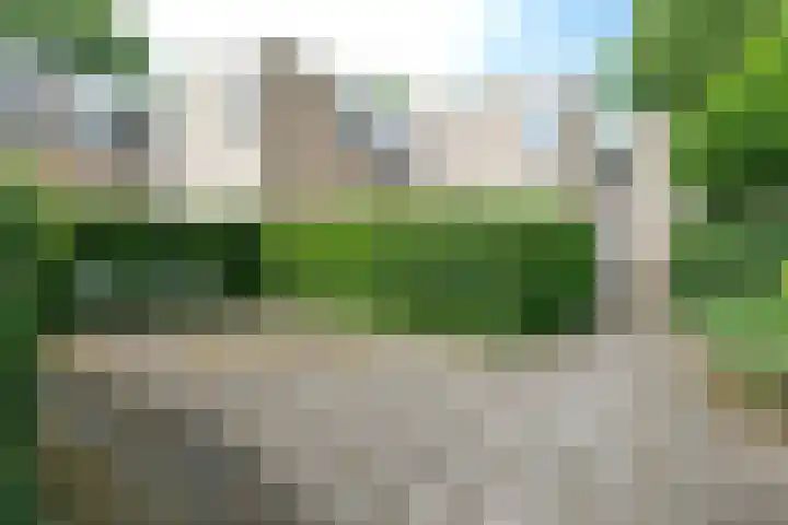 Bellevue 7 Renkum thumbnail 19
