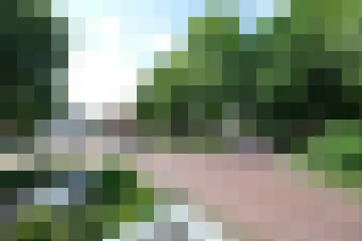 Bellevue 7 Renkum thumbnail 24