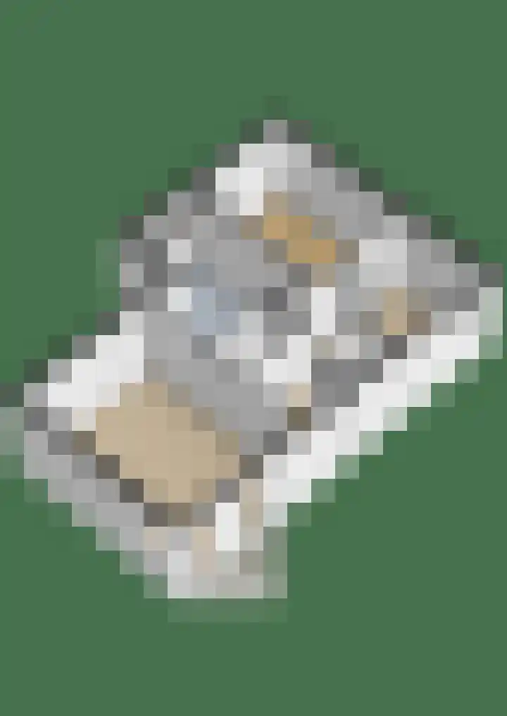 Bellevue 7 Renkum thumbnail 27