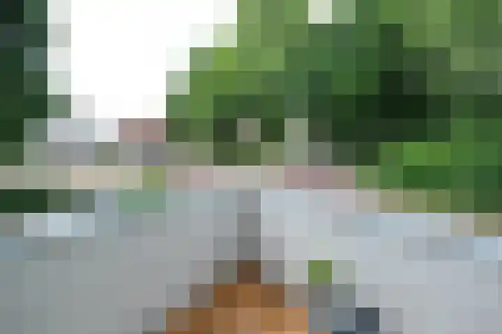 Bellevue 7 Renkum thumbnail 6