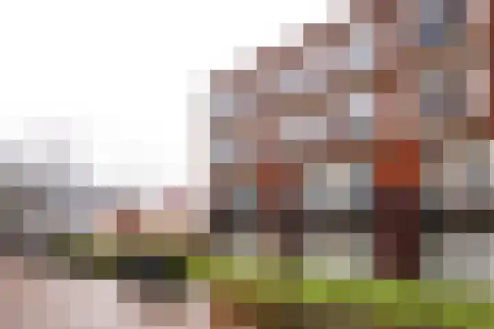 Bellevuelaan 30 Haarlem thumbnail 21