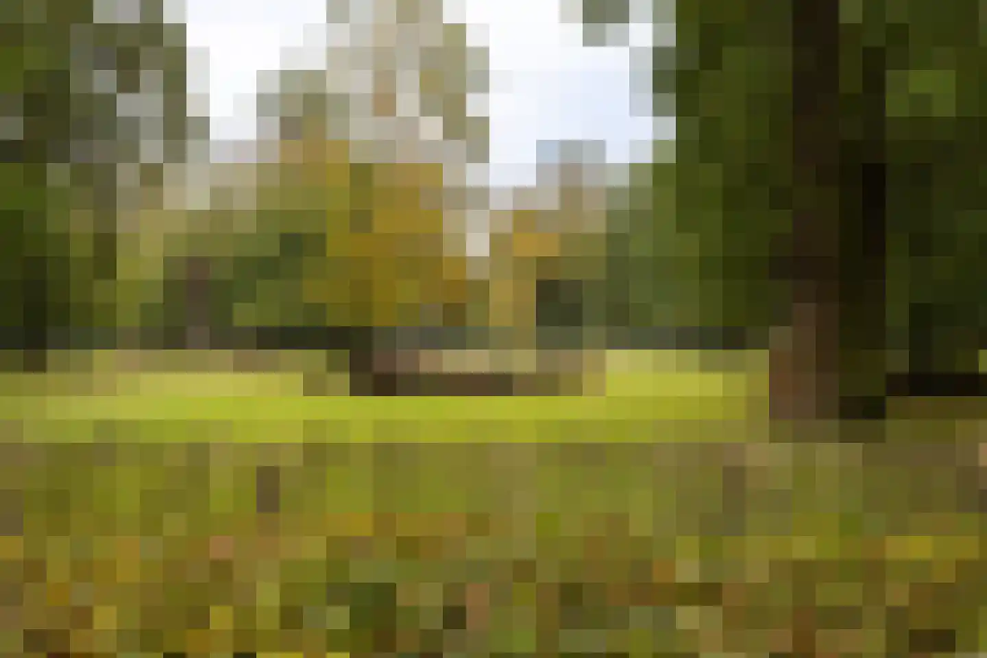 Bellevuelaan 337 Haarlem thumbnail 42