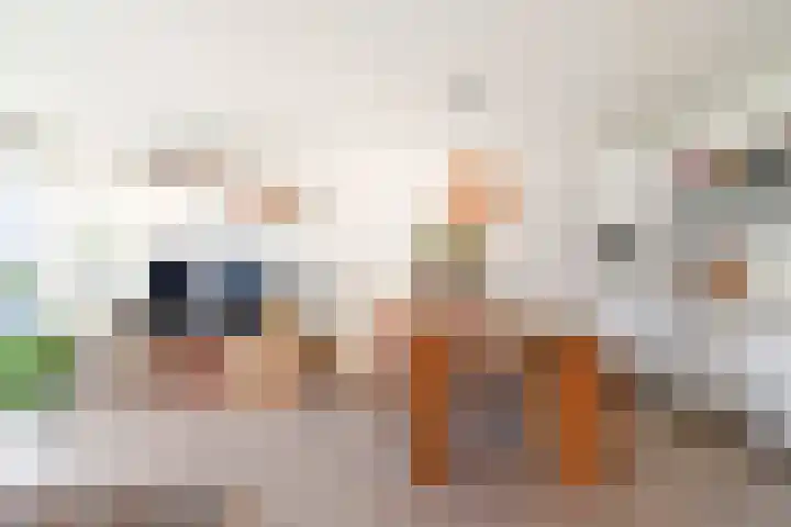 Bellevuelaan 35 Haarlem thumbnail 11