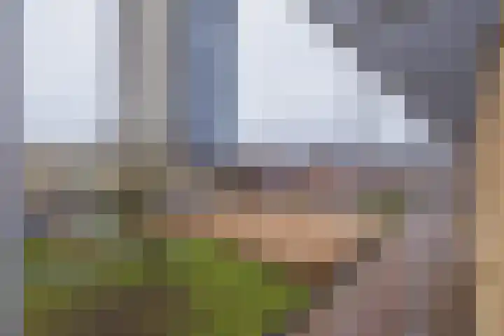 Bellevuelaan 363 Haarlem thumbnail 18