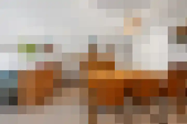 Bellevuelaan 5 Haarlem thumbnail 11