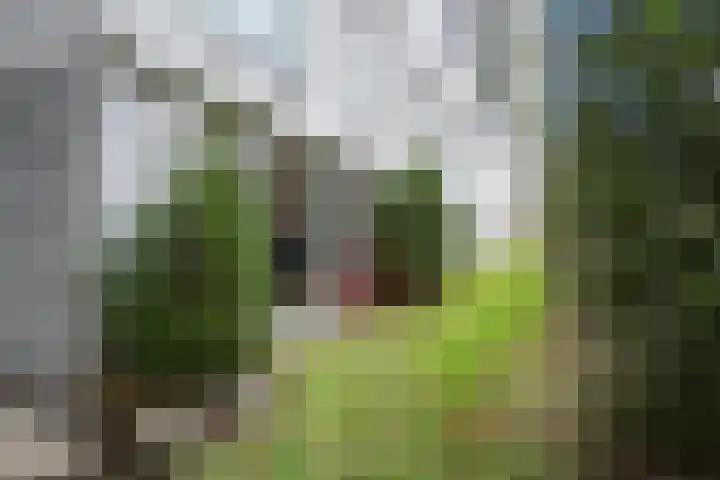 Bellevuelaan 5 Haarlem thumbnail 12