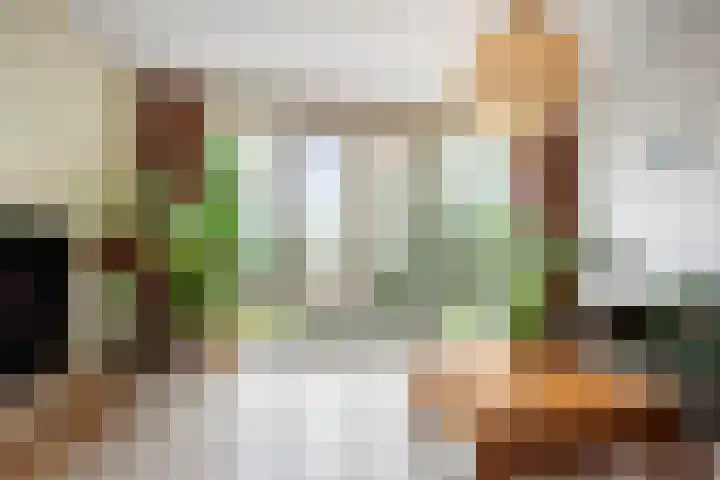 Bellevuelaan 5 Haarlem thumbnail 6