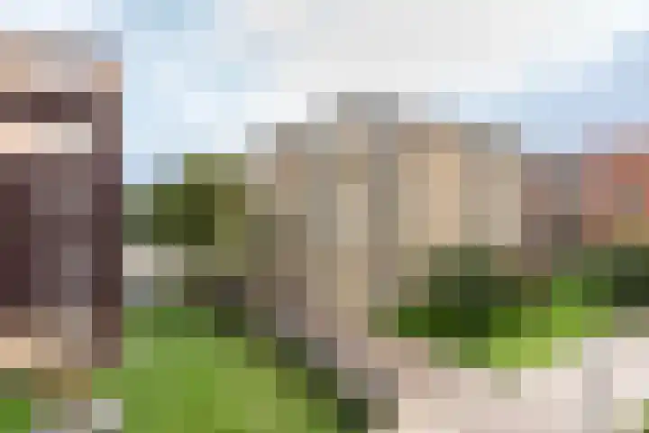 Bellevuelaan 76 Haarlem thumbnail 13