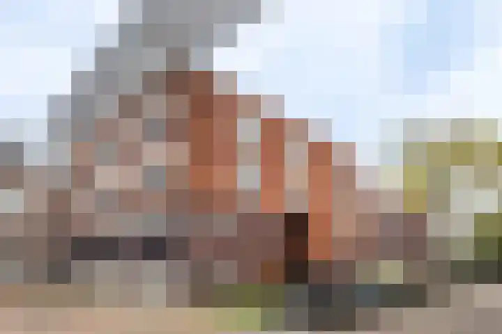 Bellevuelaan 76 Haarlem thumbnail 29