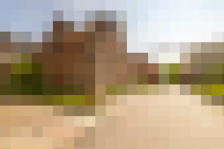 Bellevuelaan 95 Haarlem thumbnail 26