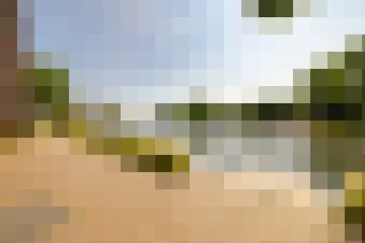 Bellevuelaan 95 Haarlem thumbnail 31