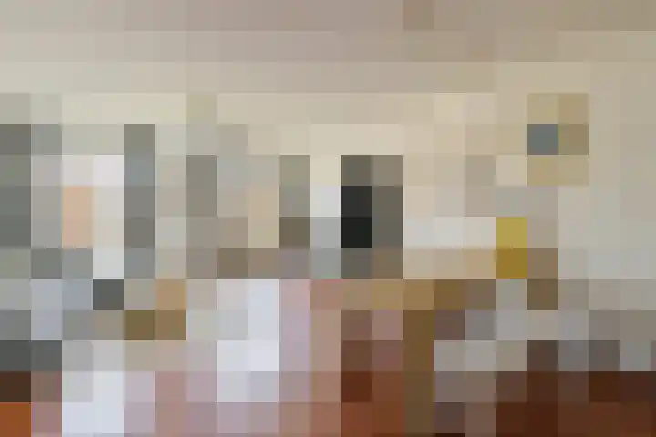 Bellevuelaan 95 Haarlem thumbnail 5