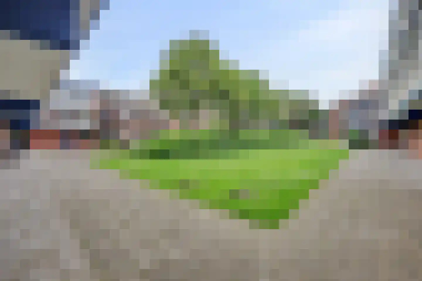Bellevuestraat 27 Dordrecht thumbnail 5