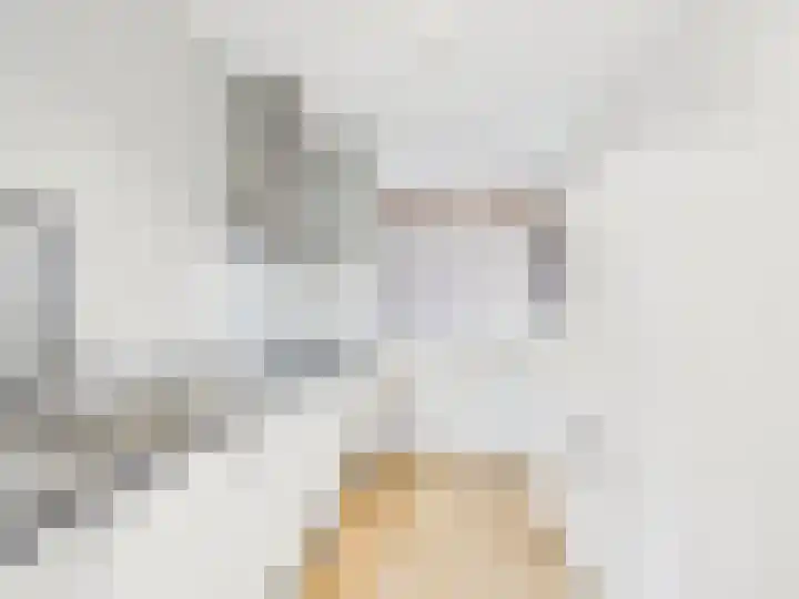 Bellevuestraat 93 Dordrecht foto 2