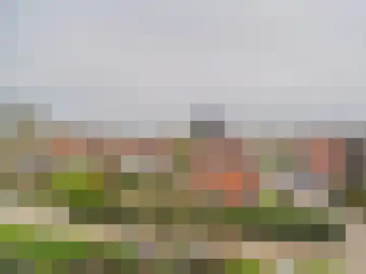 Bellevuestraat 93 Dordrecht thumbnail 4