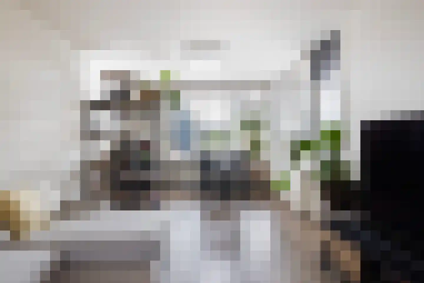Bellevuestraat 97 Dordrecht thumbnail 7