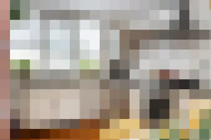 Bellinckhof 104 Hengelo thumbnail 17