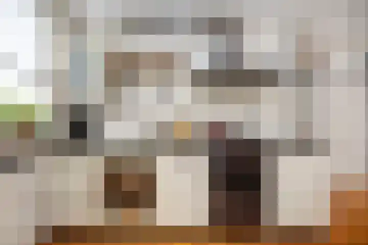 Bellinckhof 104 Hengelo thumbnail 18