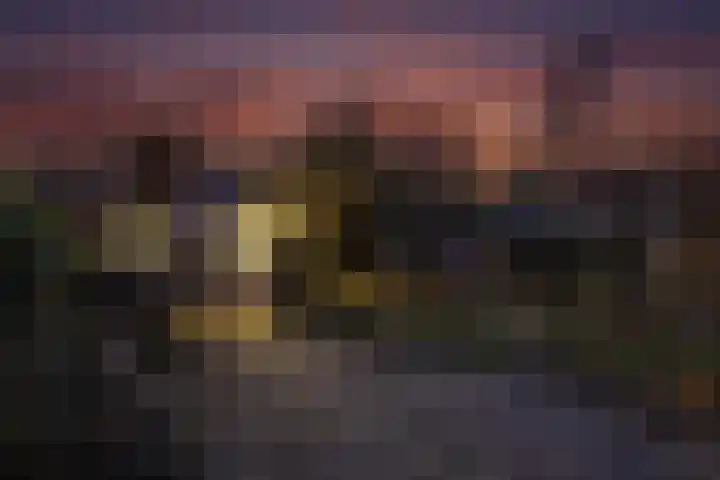 Bellinckhof 104 Hengelo thumbnail 27