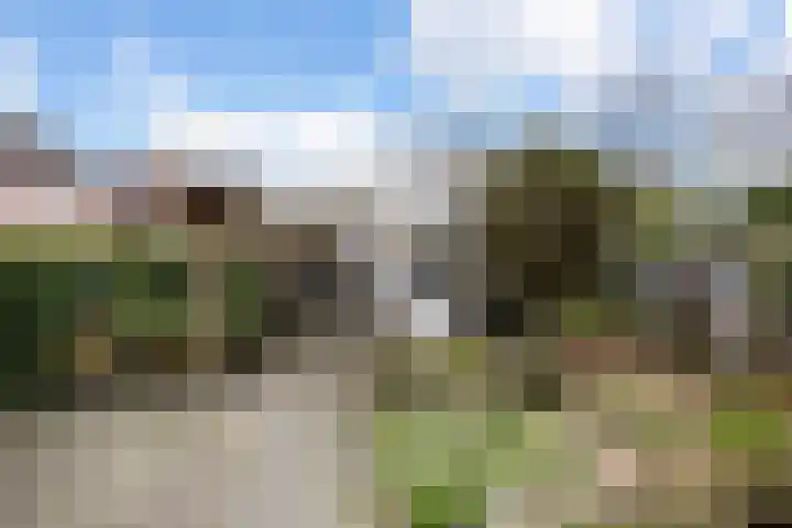 Bellinckhof 104 Hengelo thumbnail 29