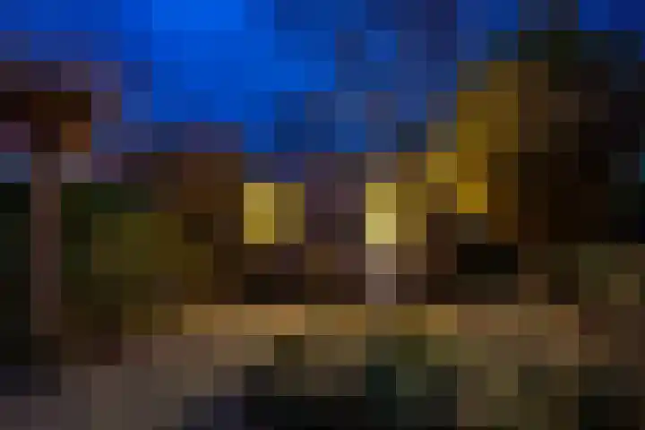 Bellinckhof 104 Hengelo thumbnail 30