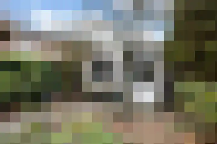 Bellinckhof 104 Hengelo thumbnail 31
