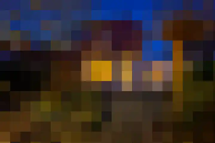 Bellinckhof 104 Hengelo thumbnail 34