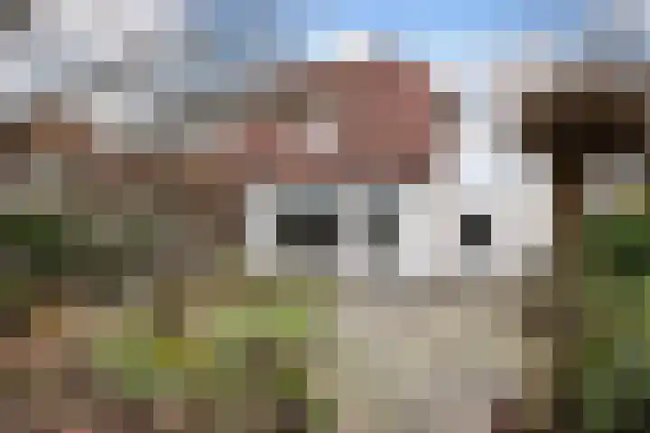 Bellinckhof 104 Hengelo thumbnail 35