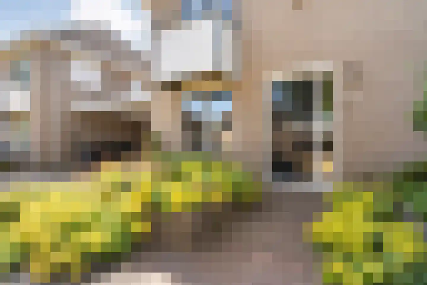 Bellinckhof 16 Raalte thumbnail 10