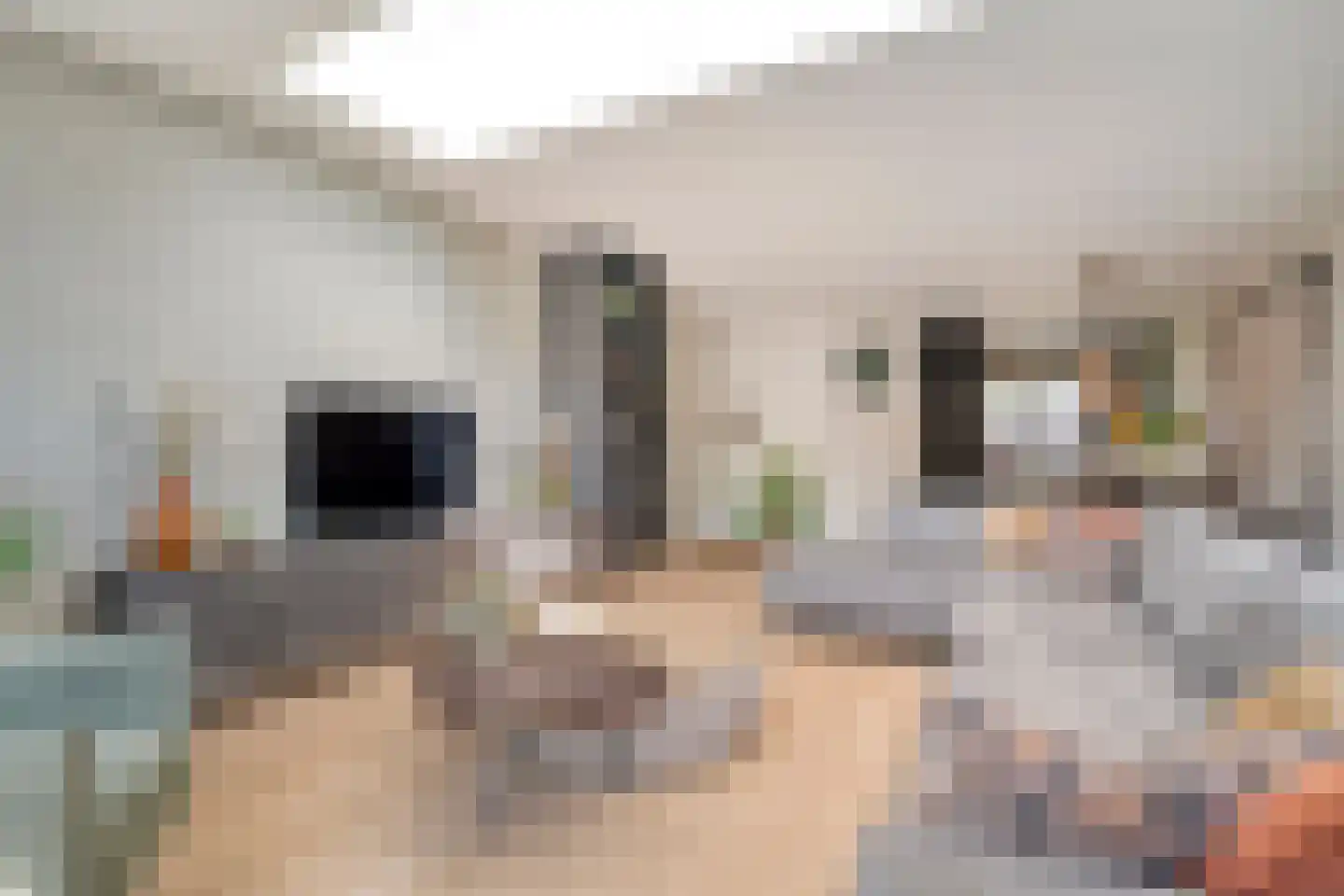 Bellinckhof 16 Raalte thumbnail 17