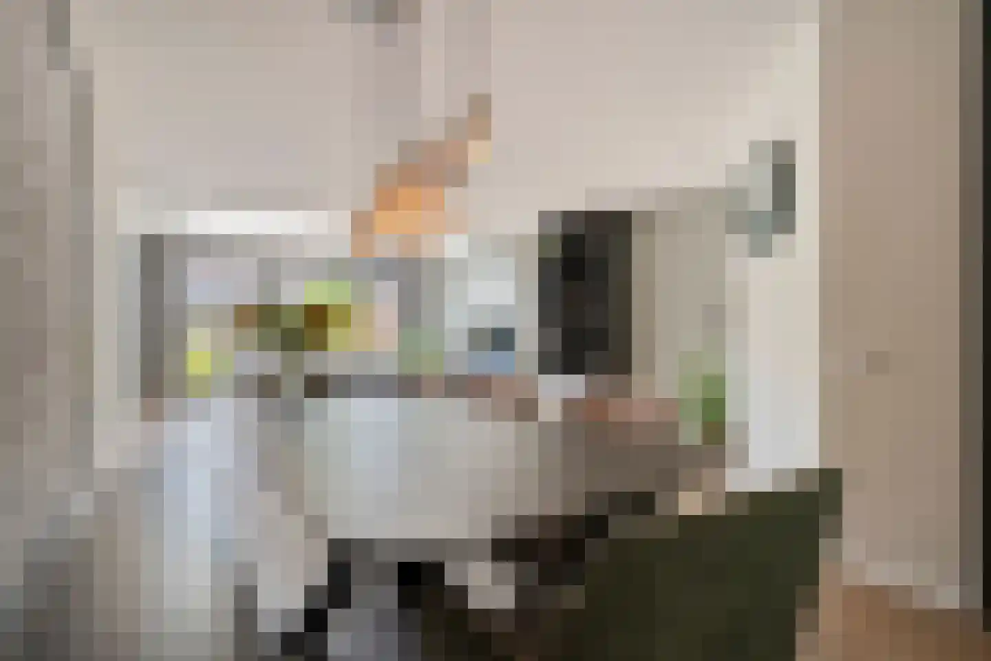 Bellinckhof 16 Raalte thumbnail 20