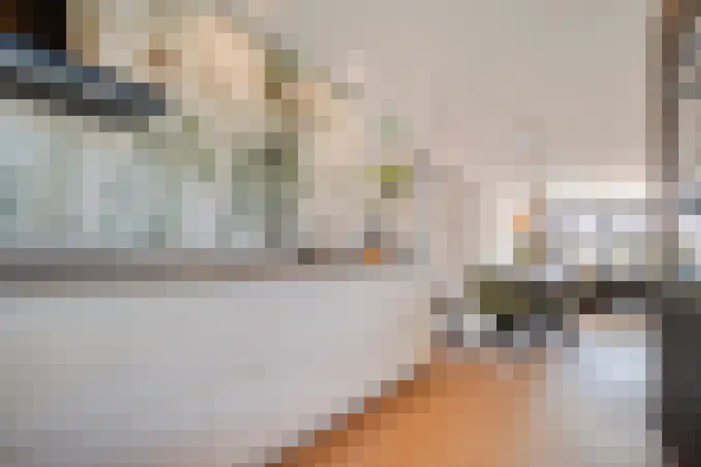 Bellinckhof 16 Raalte thumbnail 25