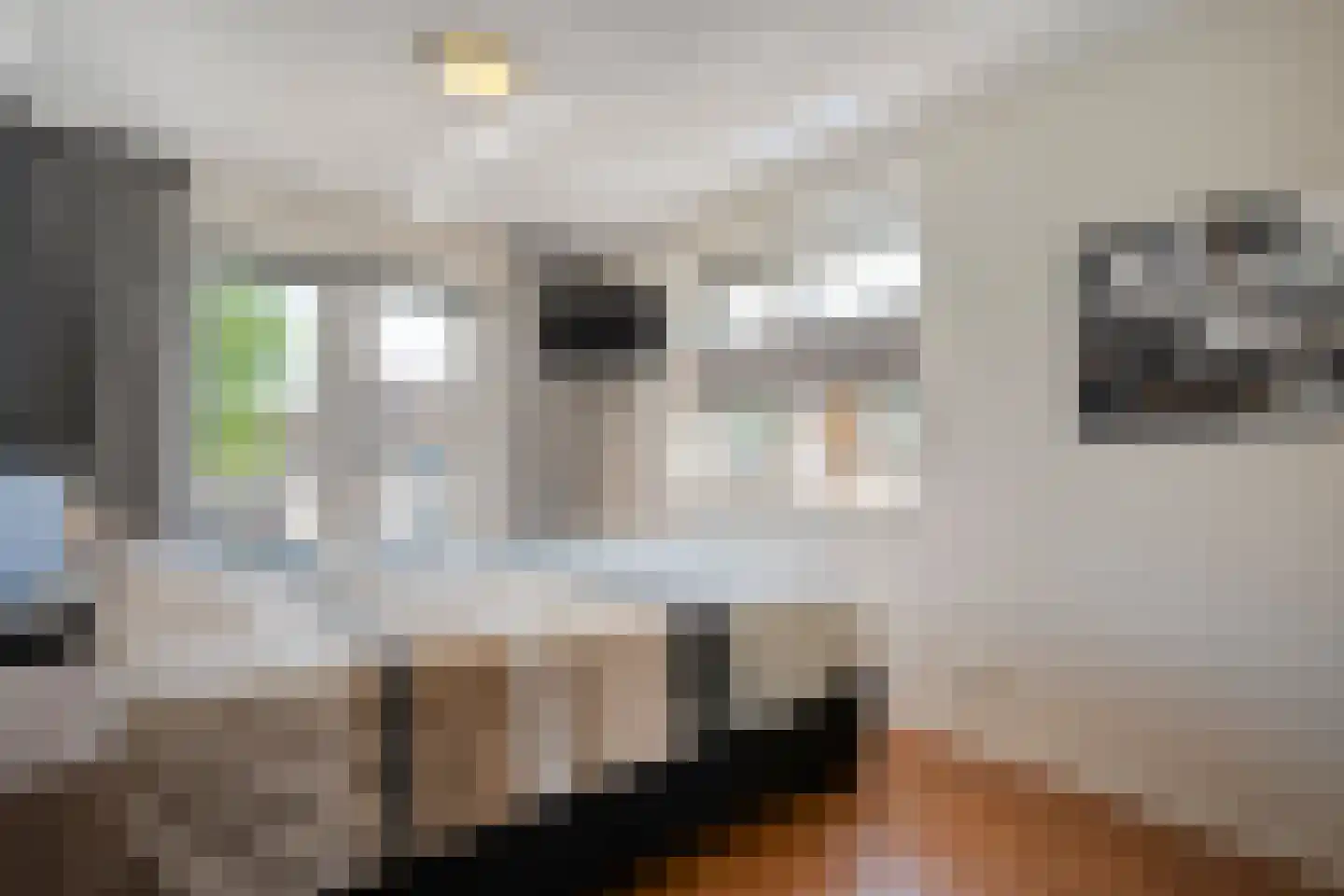 Bellinckhof 16 Raalte thumbnail 36