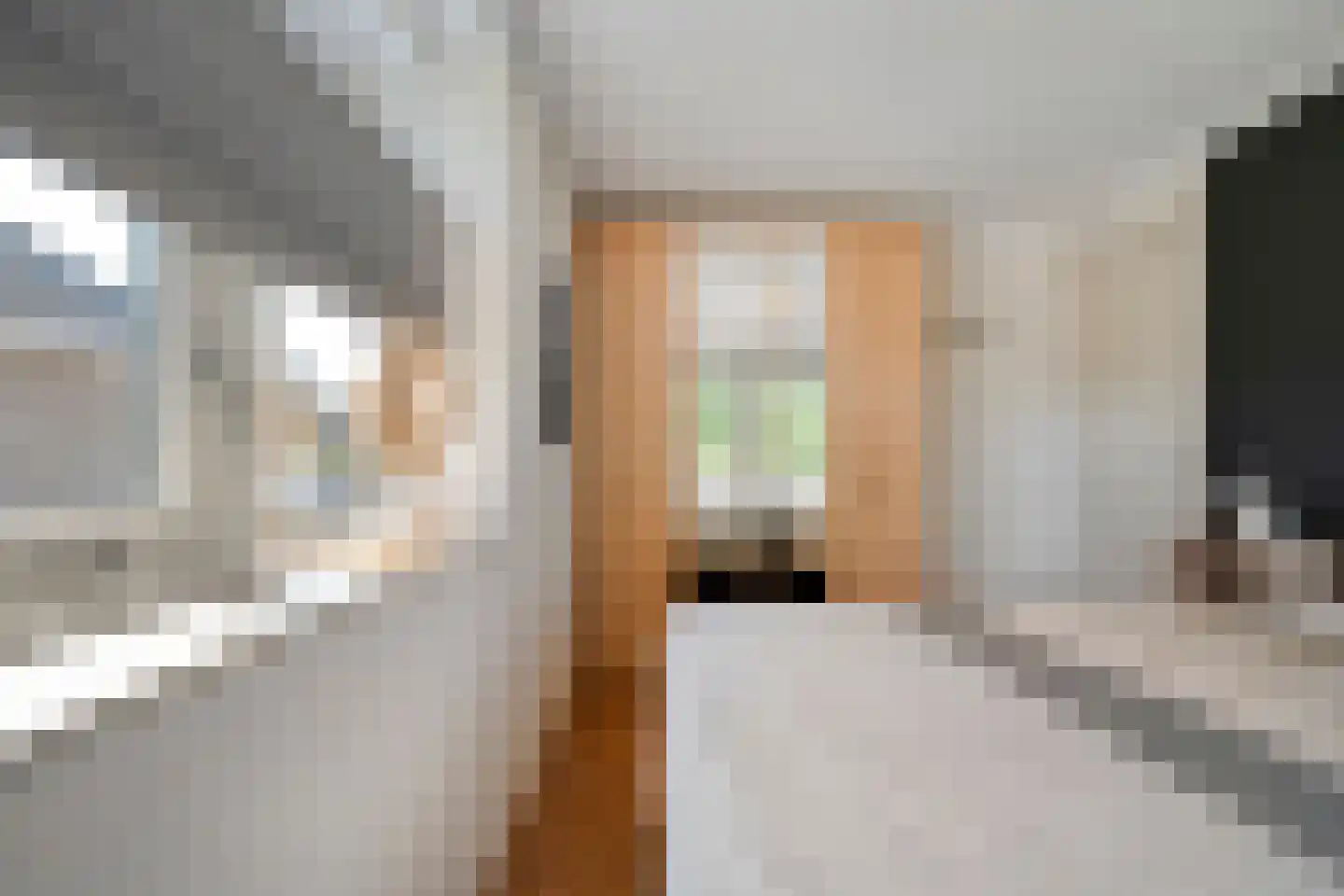 Bellinckhof 16 Raalte thumbnail 37