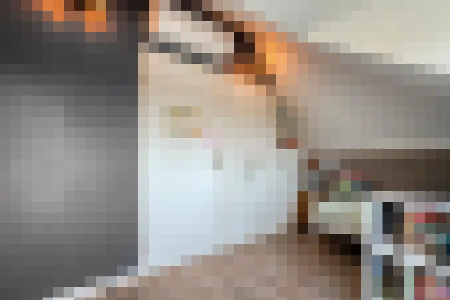 Bellinckhof 16 Raalte thumbnail 49