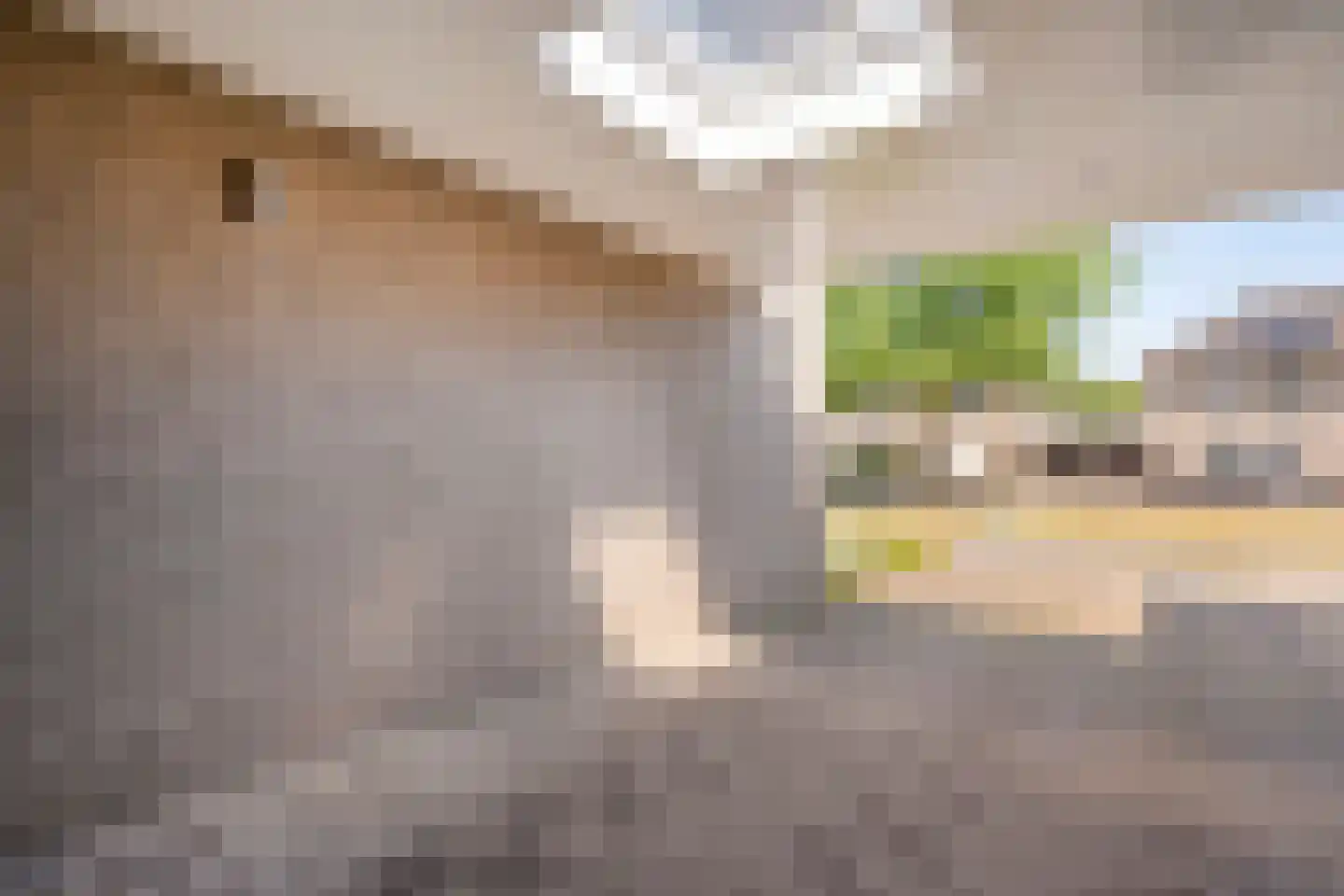 Bellinckhof 16 Raalte thumbnail 6