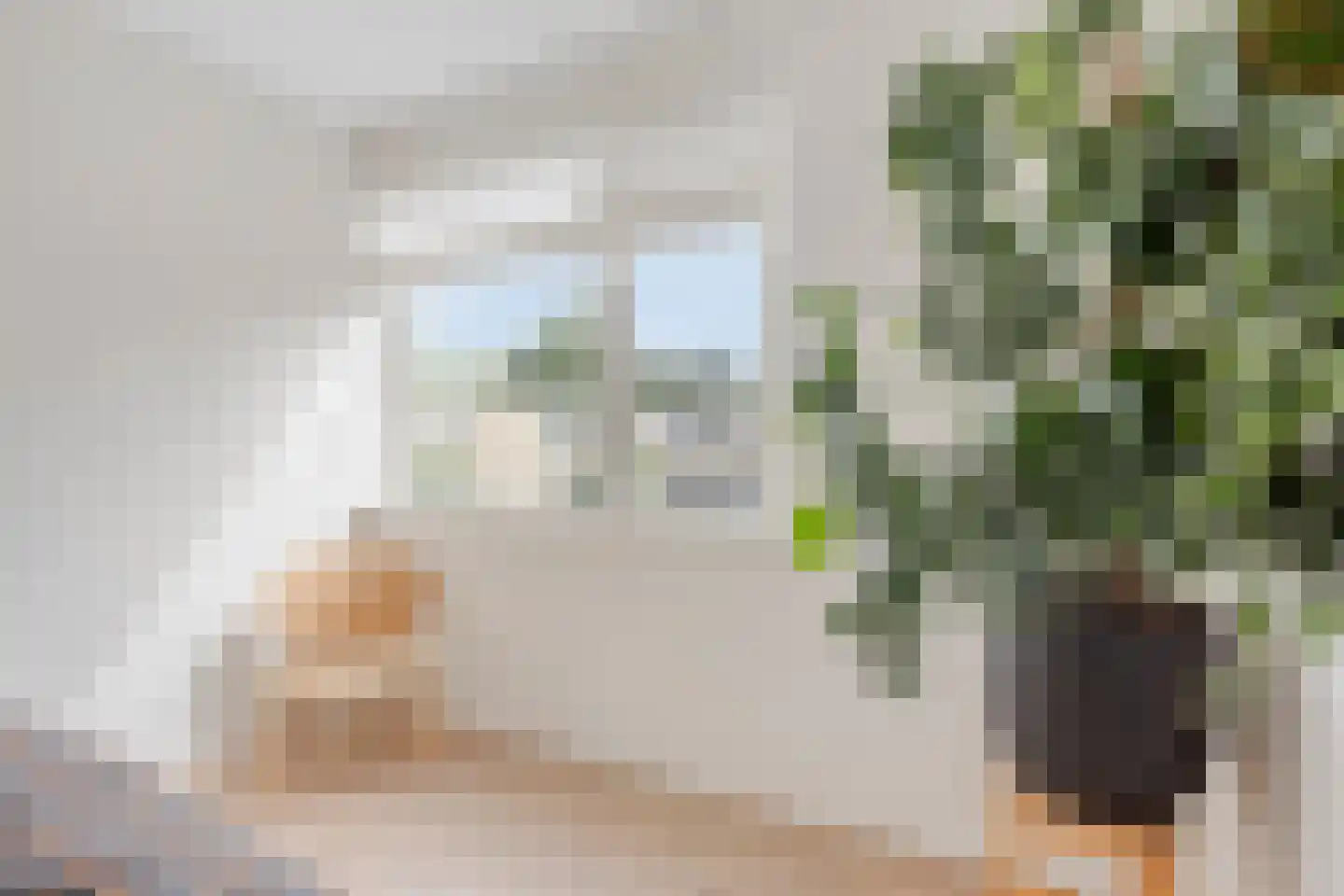 Bellinihof 38 Alkmaar thumbnail 13