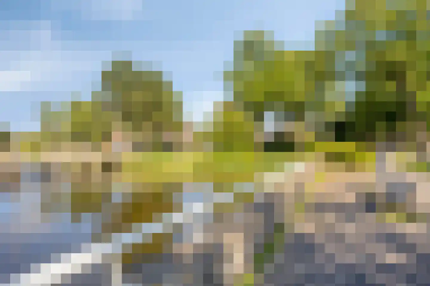 Bellinihof 38 Alkmaar thumbnail 19
