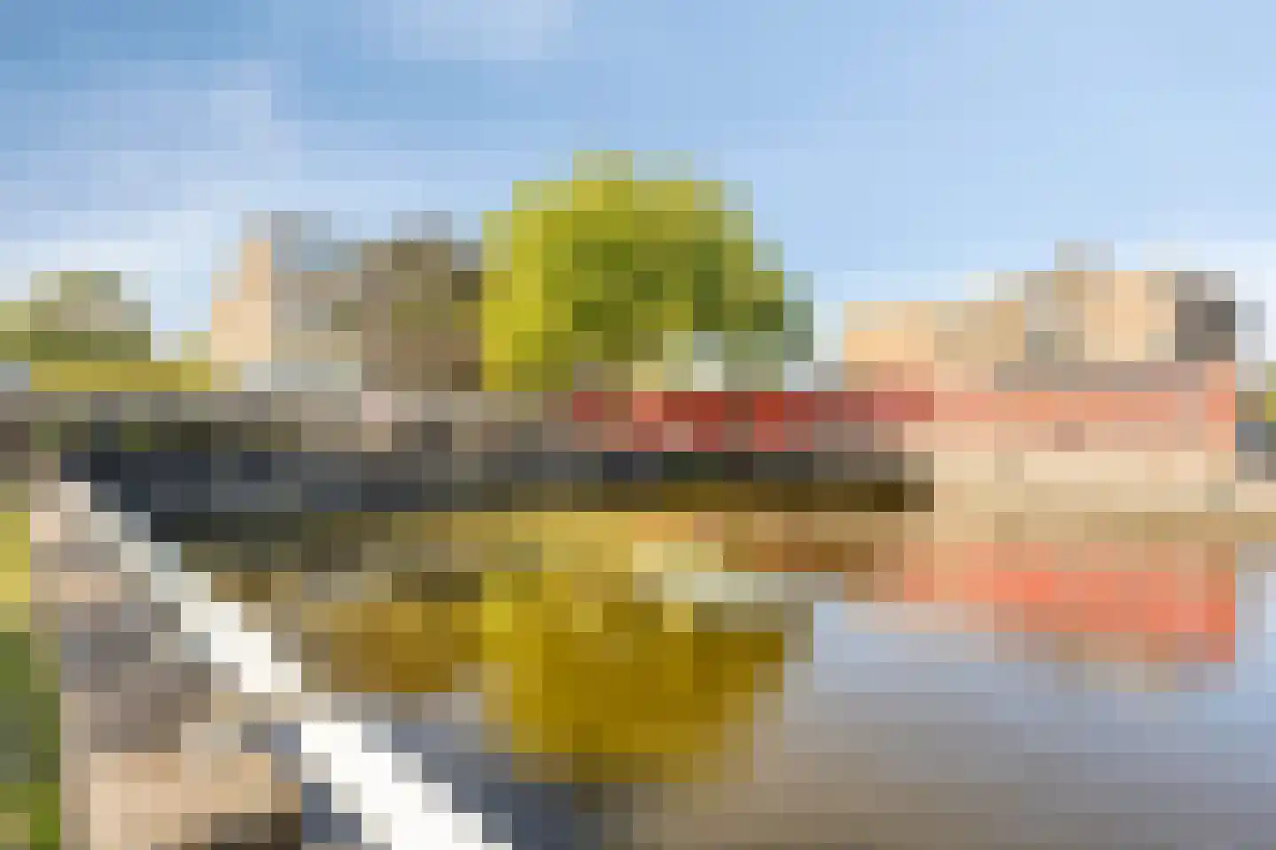 Bellinihof 38 Alkmaar thumbnail 20