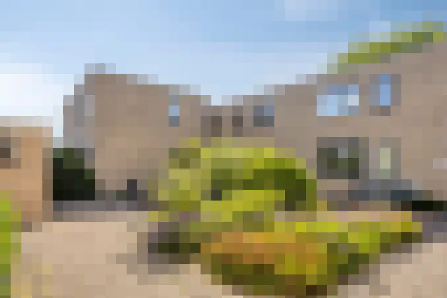 Bellinihof 38 Alkmaar thumbnail 22