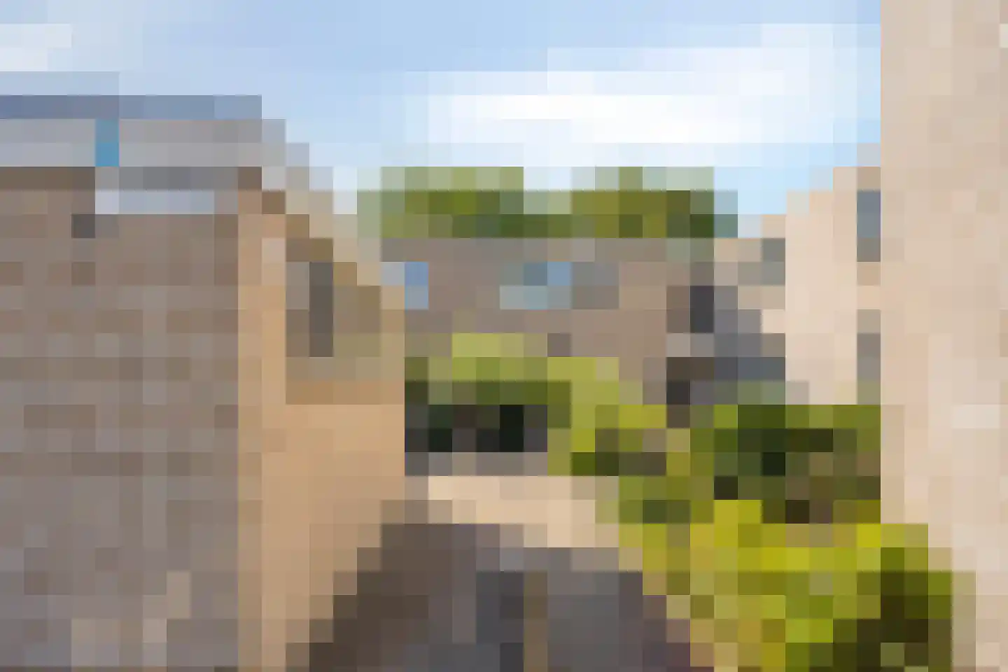 Bellinihof 38 Alkmaar thumbnail 24