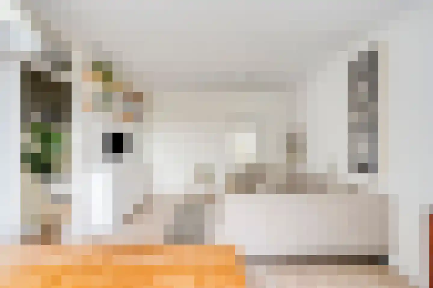 Bellinihof 38 Alkmaar thumbnail 4
