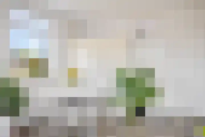 Bellinihof 90 Alkmaar thumbnail 10