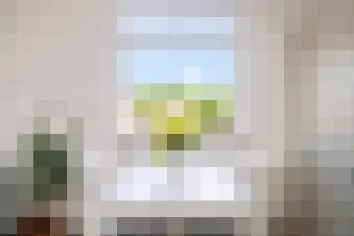 Bellinihof 90 Alkmaar thumbnail 11