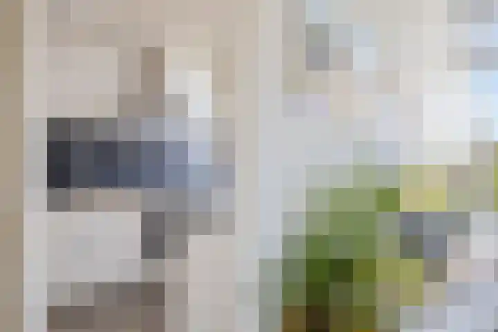 Bellinihof 90 Alkmaar thumbnail 13
