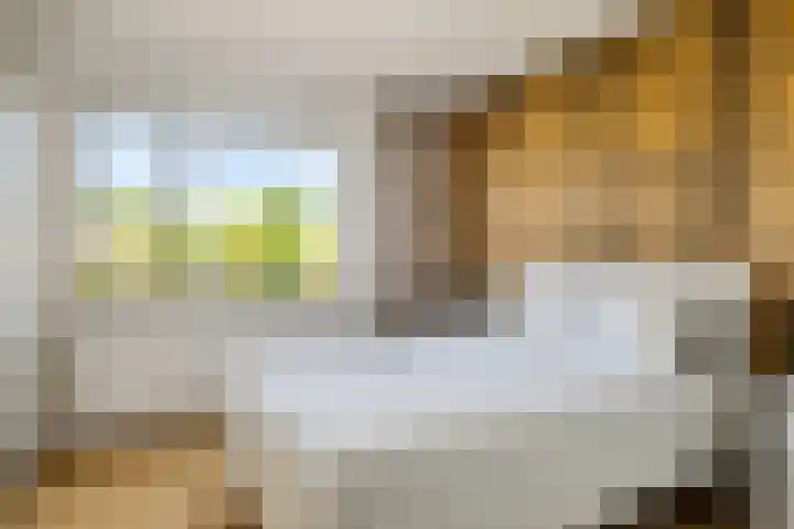 Bellinihof 90 Alkmaar thumbnail 17