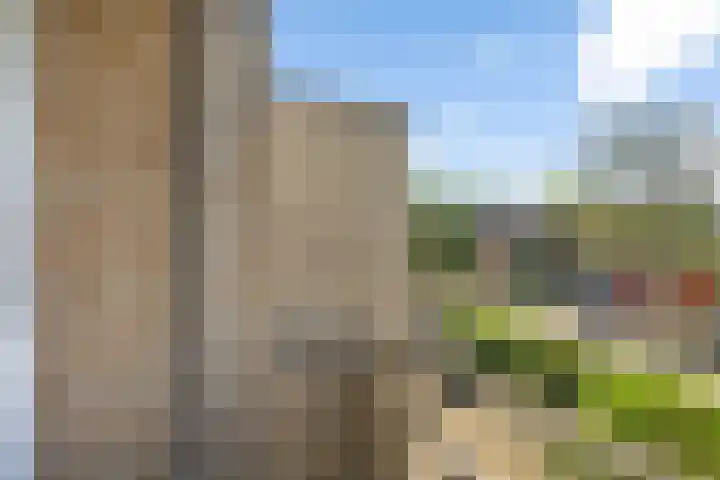 Bellinihof 90 Alkmaar thumbnail 22