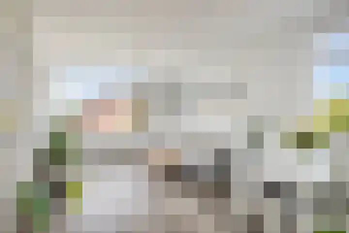 Bellinihof 90 Alkmaar thumbnail 7