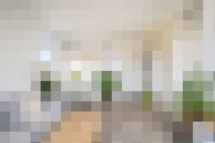 Bellinihof 90 Alkmaar thumbnail 9