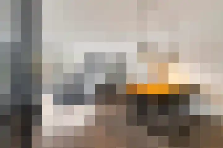 Bellinilaan 26 Delft thumbnail 10